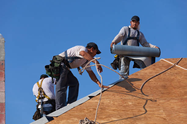 Best Flat Roof Repair Services  in Candlewick Lake, IL