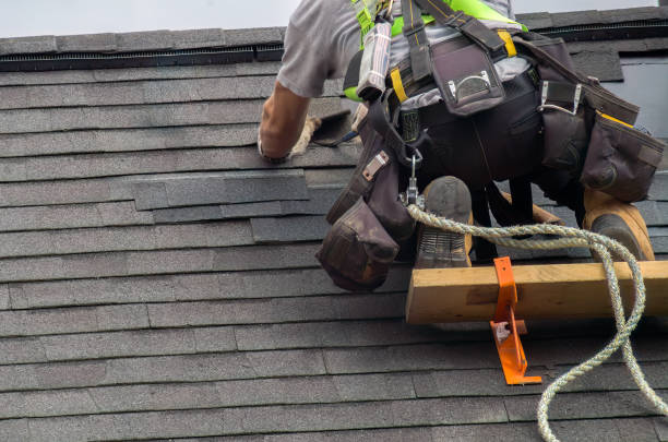 Roof Gutter Cleaning in Candlewick Lake, IL