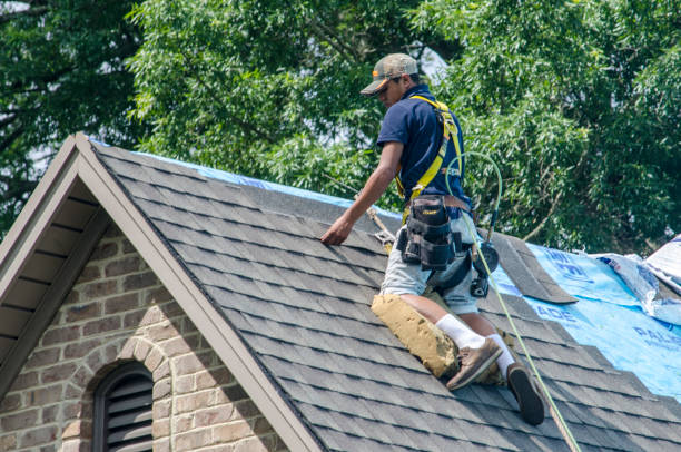 Best Roof Restoration Services  in Candlewick Lake, IL